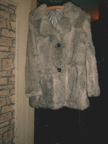 Daiktas triusio kailinukai