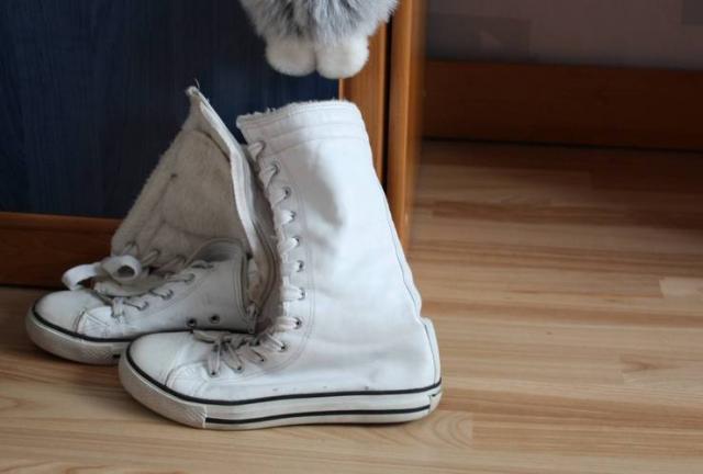 Daiktas Žieminiai inkariukai. 39