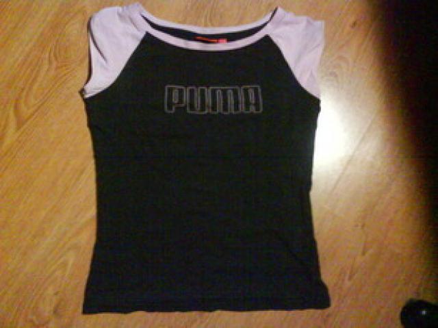 Daiktas puma maikute