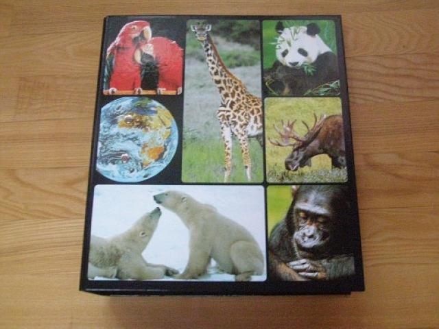 Daiktas gyvunijos pasaulis