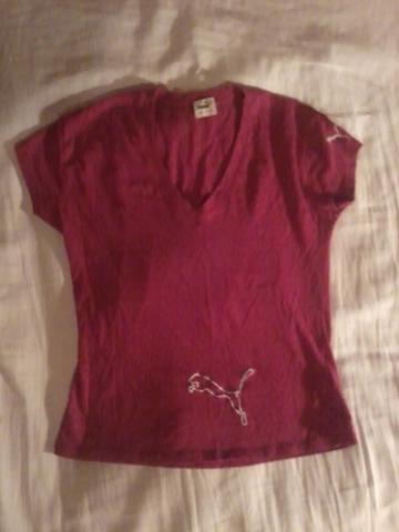 Daiktas puma maikute