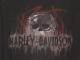 ,,Harley Davidson'' originalus baikerio dzemperis/megztinis Kėdainiai - parduoda, keičia (2)