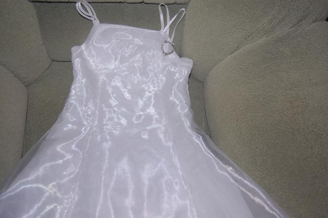 Daiktas progine suknute