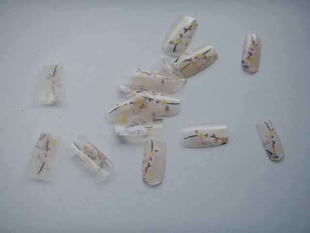 Daiktas Priklyjuojami nagai