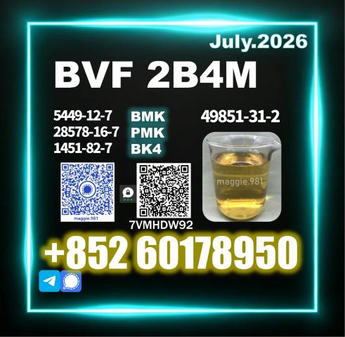 Daiktas trusted bvf 49851-31-2
