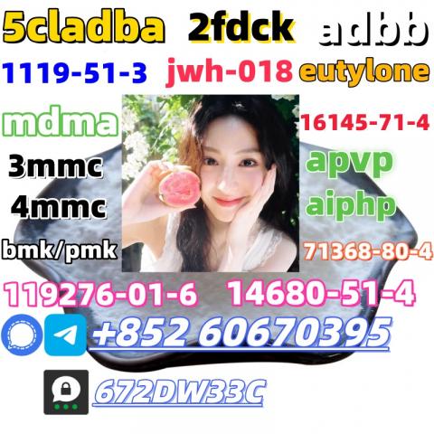 Daiktas China factory supply Bmk and Pmk low price