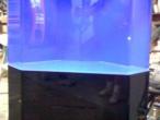 Daiktas Akvariumas akrilinis aptakus  be mėlyno fono