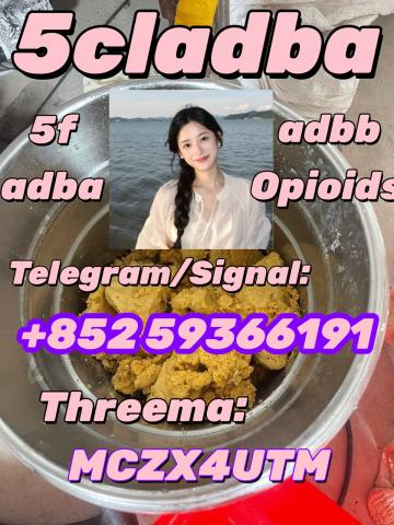 Daiktas 5cladba raw material 5cladba precursor