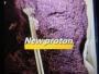 Daiktas buy Isotonitazene powder, order protonitazene, buy protonitazene, order protonitazene, protonitazen powder, order protonitazen-