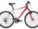 perku dviraty Lazdijai - parduoda, keičia (1)