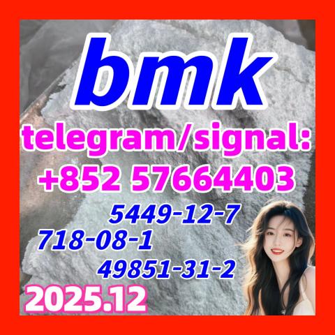 Daiktas BMK glycidic acid (sodium salt) 99% Powder cas  5449-12-7