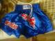 Daiktas muay thai kick boxo sortai 60lt 860949097