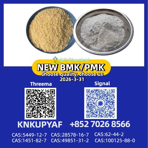 Daiktas High purity compounds pm.k 28578-16-7 with bm.k CAS 5449-12-7