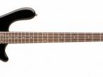 Daiktas washburn t12