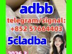 Daiktas 5cladba adbb raw material 5CL precursor raw 5cladba 5f adb 4fadb 