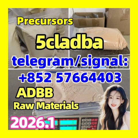 Daiktas Sell 5cladba adbb jwh-018 5fadb in stock 返回