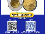 Daiktas Trusted supplier pm.k 28578-16-7 with bm.k CAS 5449-12-7