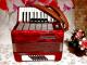 Weltmeister Stella vokiškas akordeonas Vilnius - parduoda, keičia (7)
