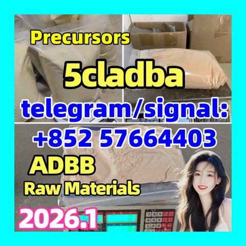 Daiktas Top Quality adbb 5cladba Best cannabinoid 5cl-adba precursor raw material 