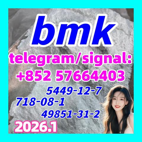 Daiktas BMK Glycidic acid sodium salt powder  5449-12-7