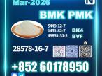 Daiktas 28578-16-7 new pmk bmk 5449-12-7