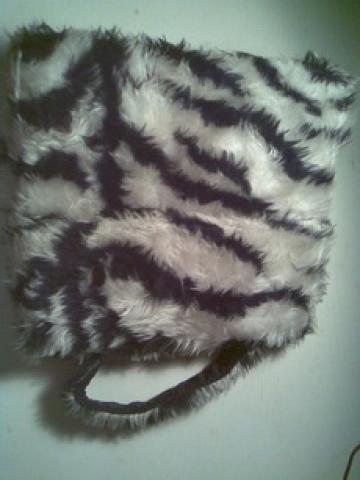 Daiktas zebrine tasyte