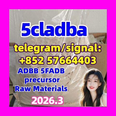 Daiktas 5cladba adbb Precursor 1119-51-3 68-12-2 dmf 