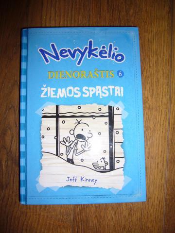 Daiktas ,, Nevykėlio dienoraštis 6 dalis ''