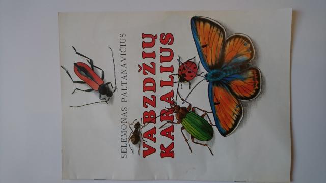 Daiktas Vabzdžių karalius