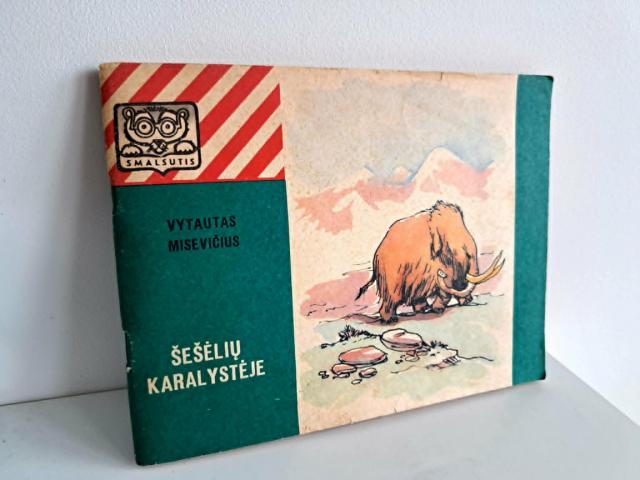 Daiktas Šešėlių karalystėje 2,50€
