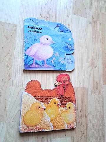 Daiktas Dvi knygelės kietais lapais 1€