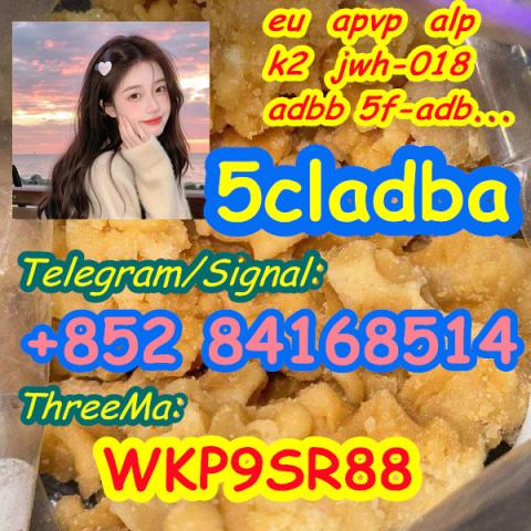 Daiktas 5cladba yellow powder buy 5Ccladba 5f-adb online