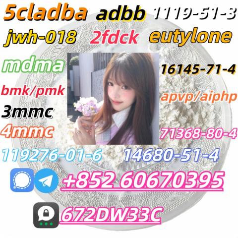 Daiktas Safe delivery CAS 119276-01-6 