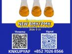 Daiktas Fine pm.k 28578-16-7 with bm.k CAS 5449-12-7 products