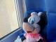 Mickey Mouse pelytė Kėdainiai - parduoda, keičia (4)