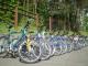 Dviračių nuoma Anykščiai - parduoda, keičia (2)