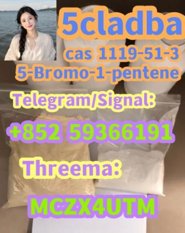 Daiktas 5-Bromo-1-pentene CAS 1119-51-3