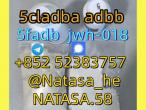 Daiktas 5fabd powder supplier 5cl adb 5cladba 5cl raw materials vendor on sale now