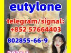 Daiktas Best quality eutylone cas 802855-66-9 from China vendor supplier