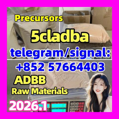 Daiktas 5cladba Precursor 5cl powder 5cladba precursor 五个部分