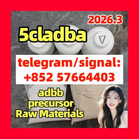 Daiktas 5cladba 5cl 5cladba precursors 5cl-adb- Quick