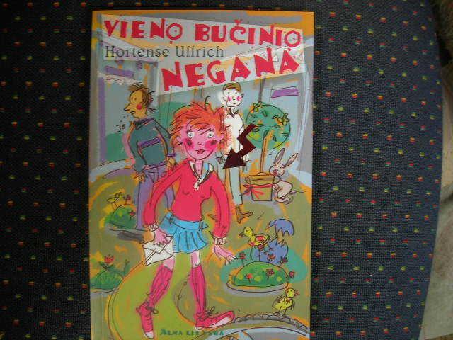 Daiktas Hortense Ullrich "Vieno bučinio negana"