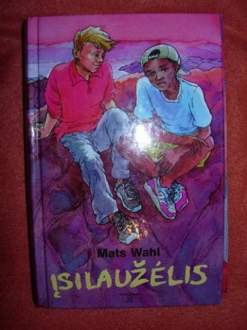 Daiktas Math's Wahl ISILAUZELIS