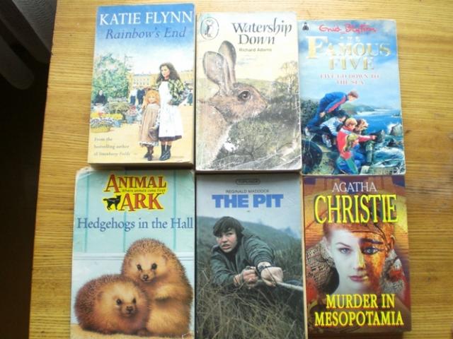 Daiktas angliškos knygos