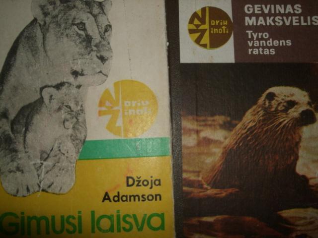 Daiktas Gimusi laisva, Tyro vandens ratas