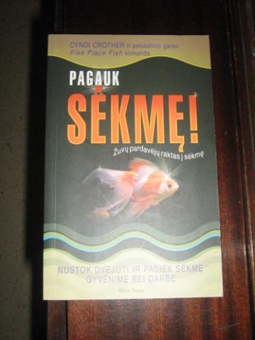 Daiktas knyga KAIP PAGAUT SEKME