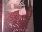 Daiktas Knyga Sally Beauman  "Meilės peizažas" romanas