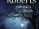 Daiktas Nora Roberts Dieviskas blogis 