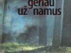 Daiktas Mary Higgins Clark  "Nieko geriau už namus"