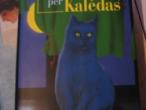 Daiktas C.Amory "Katinas,kuris atėjo per Kalėdas"